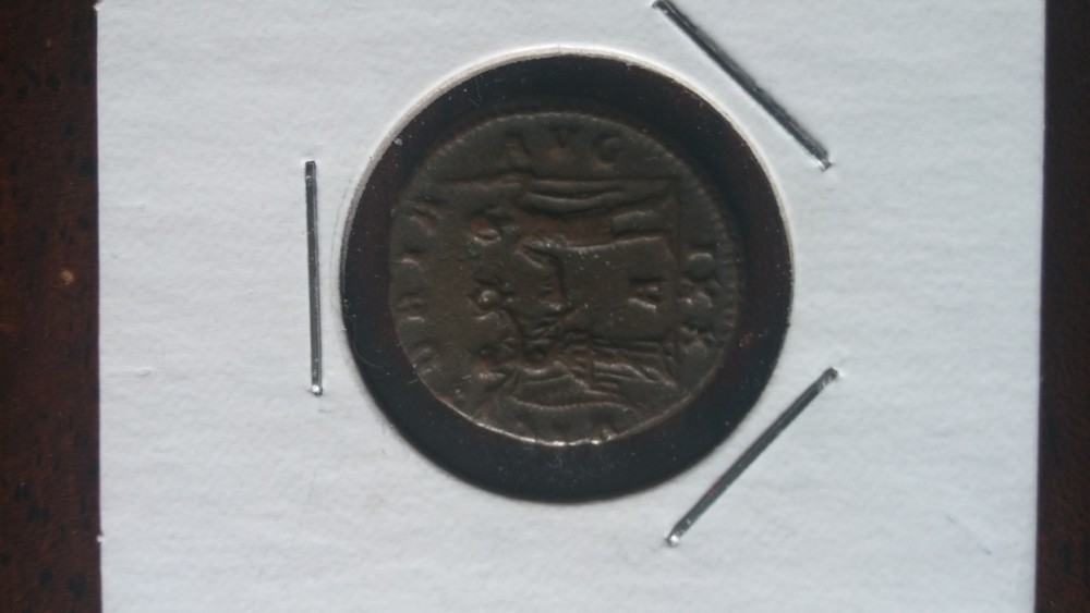 Looking-For-ID-Please